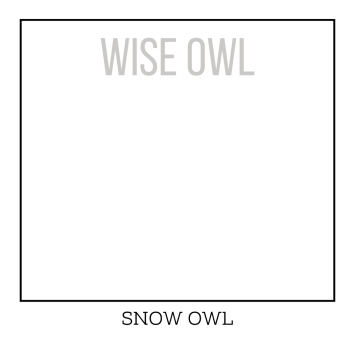 Snow Owl